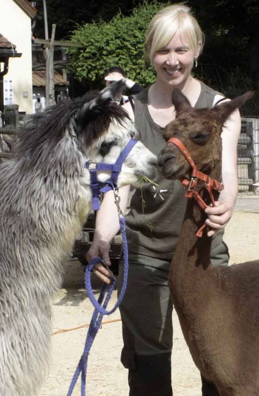Żyrafy w Naszym Zoo?